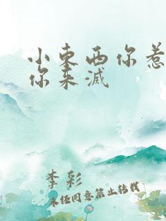 小东西你惹的火你来灭