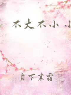 不大不小 小说
