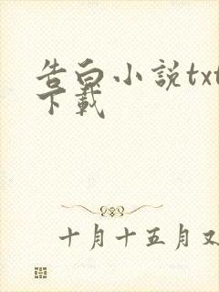 告白小说txt下载