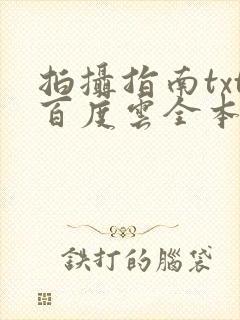 拍摄指南txt百度云全本