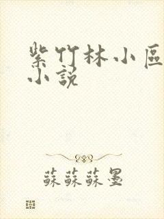 紫竹林小区快递小说