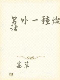 另外一种灿烂生活