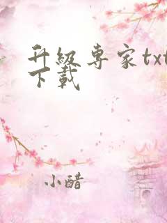 升级专家txt下载