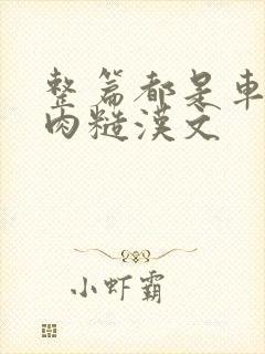 整篇都是车的多肉糙汉文