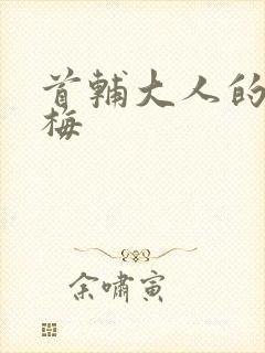 首辅大人的小青梅