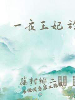 一夜王妃 于墨