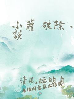小萝 破除 小说