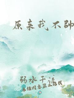 原来我不帅小说