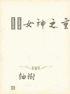 鹡鸰女神之重生