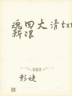 魂回大清txt新浪
