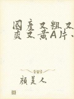 国产又粗又猛又爽又黄A片小说