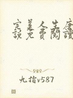 完美人生唐诚小说免费阅读