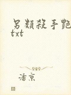 另类杀手艳福星txt