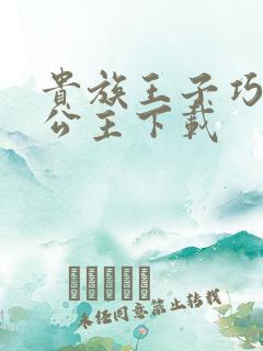 贵族王子巧遇穷公主下载