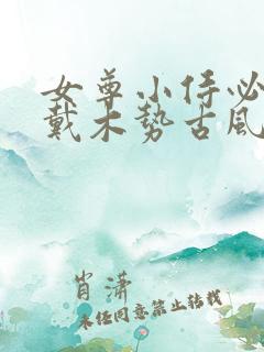 女尊小侍必须佩戴木势古风