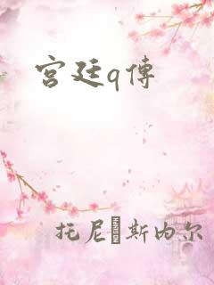 宫廷q传