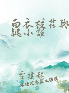 白衣校花与大长腿小说