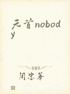 元首nobody