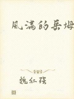 风满的岳坶