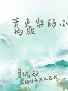 卖火柴的小男孩 肉版