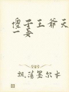 傻子王爷天下第一妾