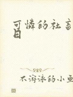 可怜的社畜东度日