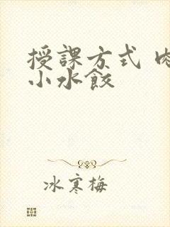 授课方式 肉馅小水饺