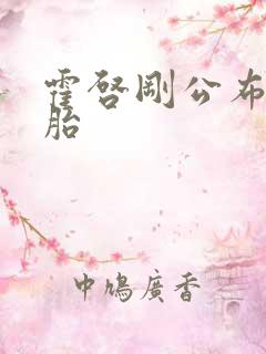 霍启刚公布龙凤胎