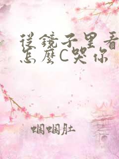 从镜子里看我是怎么C哭你