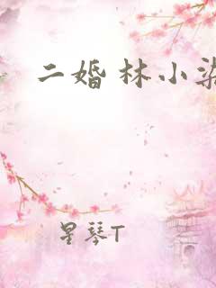 二婚 林小染