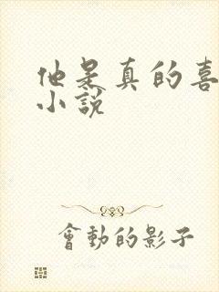 他是真的喜欢你小说