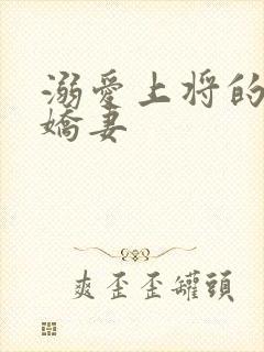 溺爱上将的宝贝娇妻