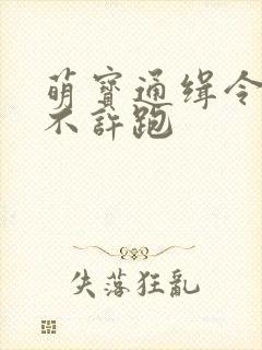 萌宝通缉令妈味不许跑