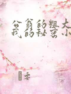 公翁的粗大放进我的秘密小说