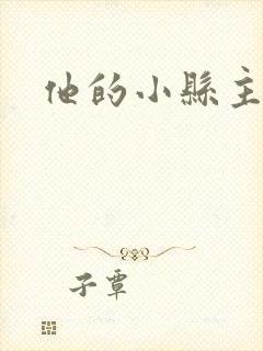 他的小县主