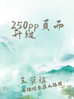 250pp页面升级