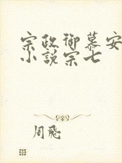 宗政御慕安安的小说宗七