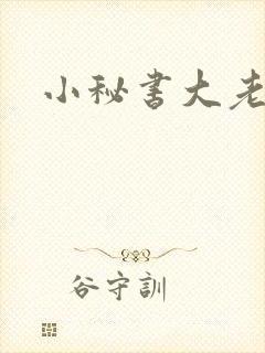 小秘书大老婆