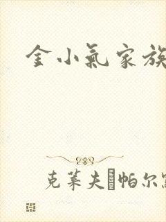 金小气家族小说
