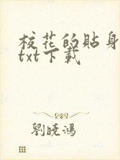 校花的贴身保镖txt下载