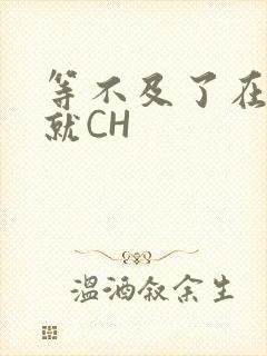 等不及了在车里就CH