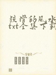 狡猾的风水相师txt全集下载