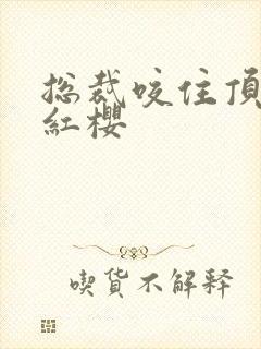 总裁咬住顶端的红樱