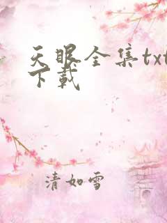 天眼全集txt下载