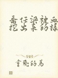 乔任梁被血肠子挖出来的样子