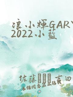 浪小辉GARY2022小蓝