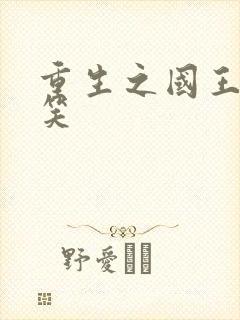 重生之国王的微笑