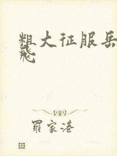 粗大征服岳女双飞