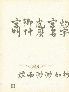 宫卿岚宫灼小说叫什么名字