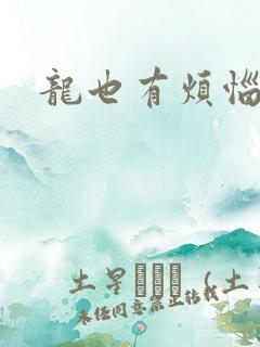 龙也有烦恼小说